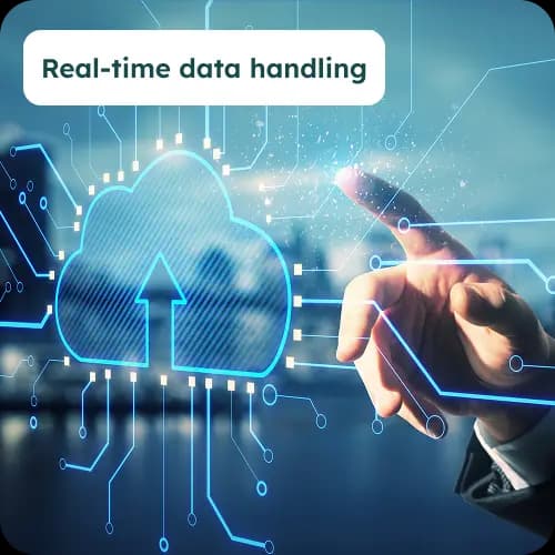 Vue.js Development Team